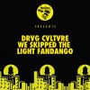 Download track We Skipped The Light Fandango (Pale Mix)