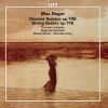 Download track Clarinet Quintet In A Major, Op. 146: III. Largo