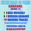 Download track Ces Diamants-Là (Originally Performed By NOTRE DAME DE PARIS Cast [Karaoke])