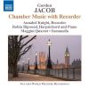Download track Variations For Treble Recorder And Piano - Variation VI: Poco Adagio, Espressivo