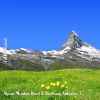 Download track Alpine Meadow Wind & Birdsong Ambience, Pt. 9