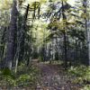 Download track Travel In Woods