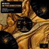 Download track In The Direction (Extended Mix)