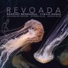 Download track Revoada