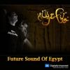 Download track Future Sound Of Egypt 377