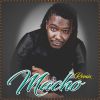 Download track Macho (Remix)