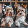 Download track Energetic Puppy Songs