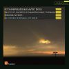 Download track Sinfonia XI. Pour Cordes Sonate Da Camera E Sinfonia