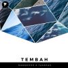 Download track Tembah (Original Mix)