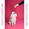 Download track 良い犬の生活