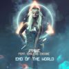 Download track End Of The World (Binner Remix)