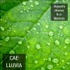 Download track Cae La Lluvia