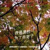 Download track 每日每夜 (伴奏)