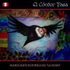 Download track El Condor Pasa