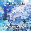 Download track Relaxing Music, Pt. 1