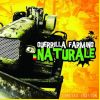 Download track Il Mondo Vegetale