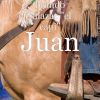 Download track Juan