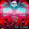 Download track Trip To Vegas (Original Mix)