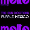 Download track Purple Mexico (Original Mix)