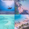 Download track High-Class Tropical Getaways