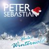 Download track Weißer Winterwald (Instrumental Karaoke)