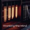 Download track Working The Mind