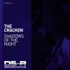 Download track Shadows Of The Night (Extended Mix)