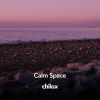 Download track Calm Space, Pt. 6