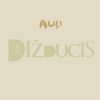 Download track Dizduca Dzivais Ūdens