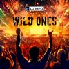 Download track Wild Ones (Radio Edit)