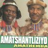 Download track Amathemba