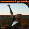 Download track Wasted Youth