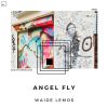 Download track Angel Fly