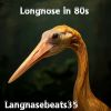 Download track Longnose In 81s