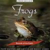 Download track Frogs, Part Two