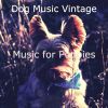 Download track Extraordinary Music For Resting Dogs