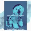 Download track Romantic Music For Morning Dog Walks