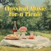 Download track Piano Concerto No. 1 In E-Flat Major, S. 124: II. Quasi Adagio