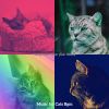 Download track Tranquil (Kittens)