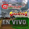 Download track Te Vengo A Decir Adios (En Vivo)