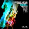 Download track Shakkira (Vegamoore Remix)