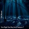 Download track Eerie Night Time Deep Forest Ambience, Pt. 18