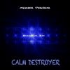 Download track Calm Destroyer