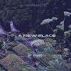 Download track A New Place