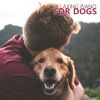 Download track Soothe Your Dog