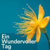 Download track Funkeln Des Wasserfalls