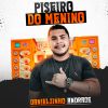 Download track Seresteiro