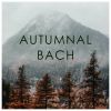 Download track 6 Kleine Präludien, BWV 933-938: 6. Prelude In E Minor, BWV 938