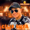 Download track Casamento