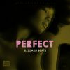 Download track Perfect (Reprise)